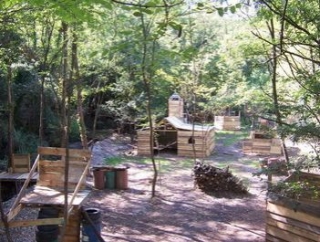  Terreno en medio del bosque 